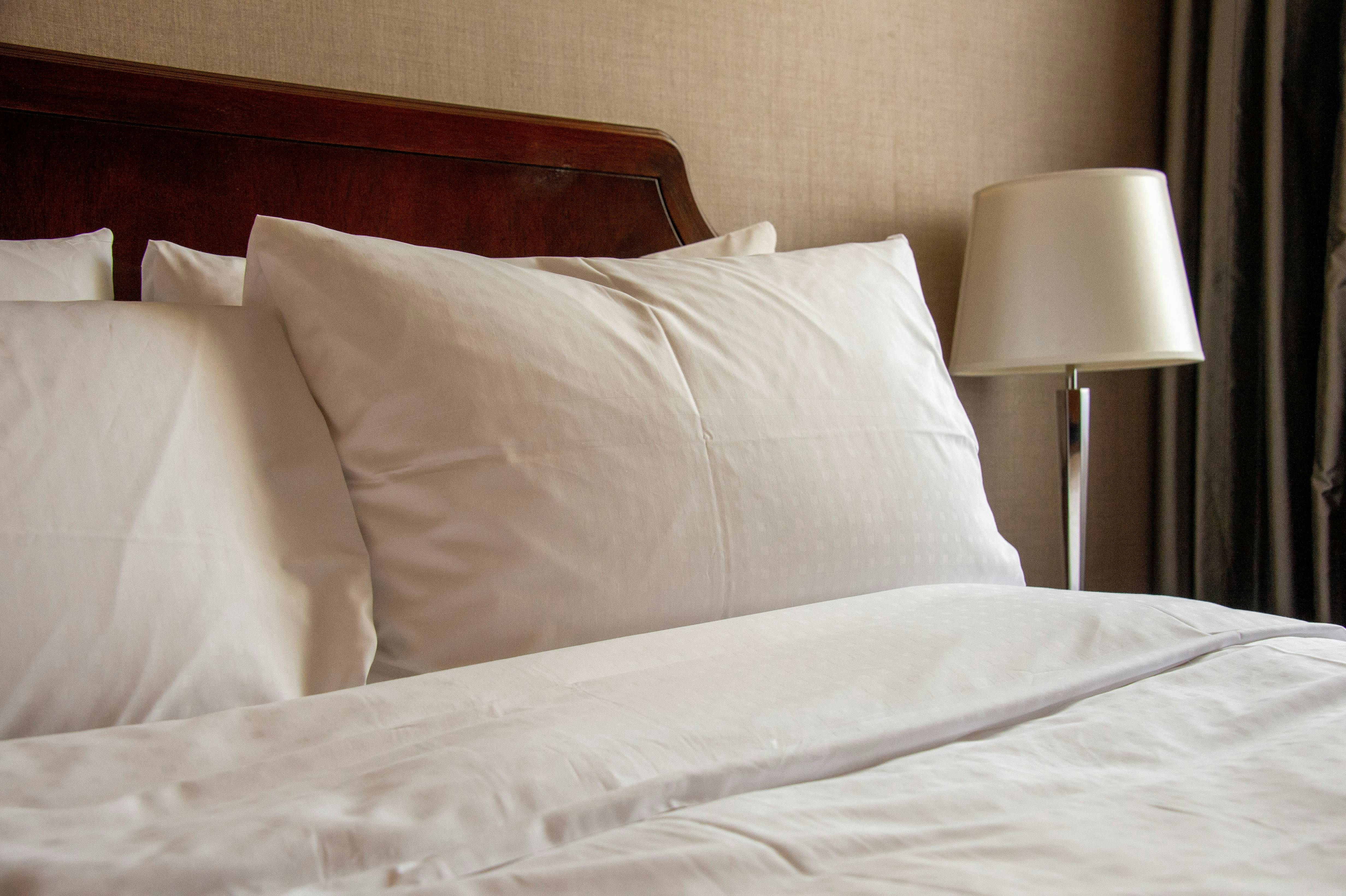 emergency bed bug treatment solution