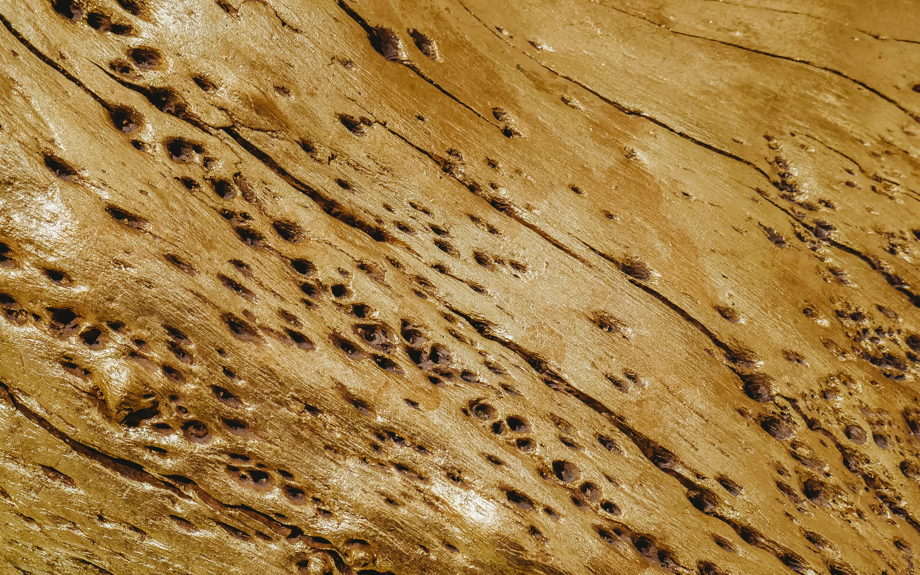structural termite protection barrier