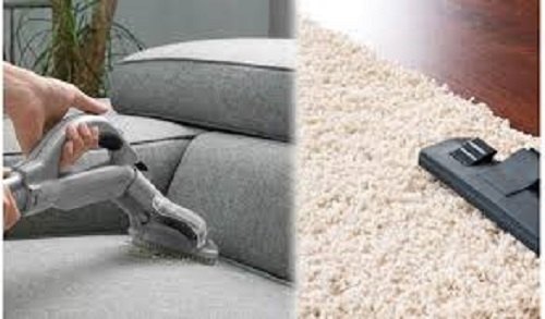 Golden Eagle professional sofa and carpet shampooing service